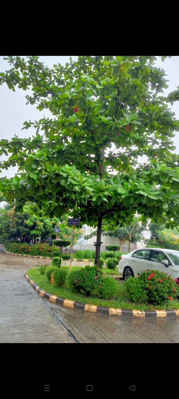 Bangla Choti